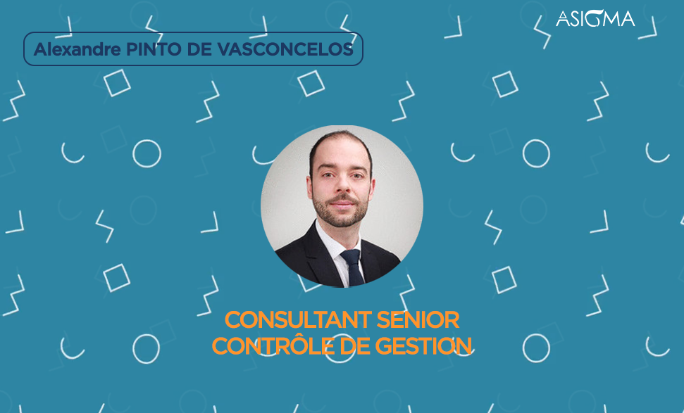 Alexandre-Pinto-de-Vasconcelos-Consultant-Senior-Controle-de-Gestion